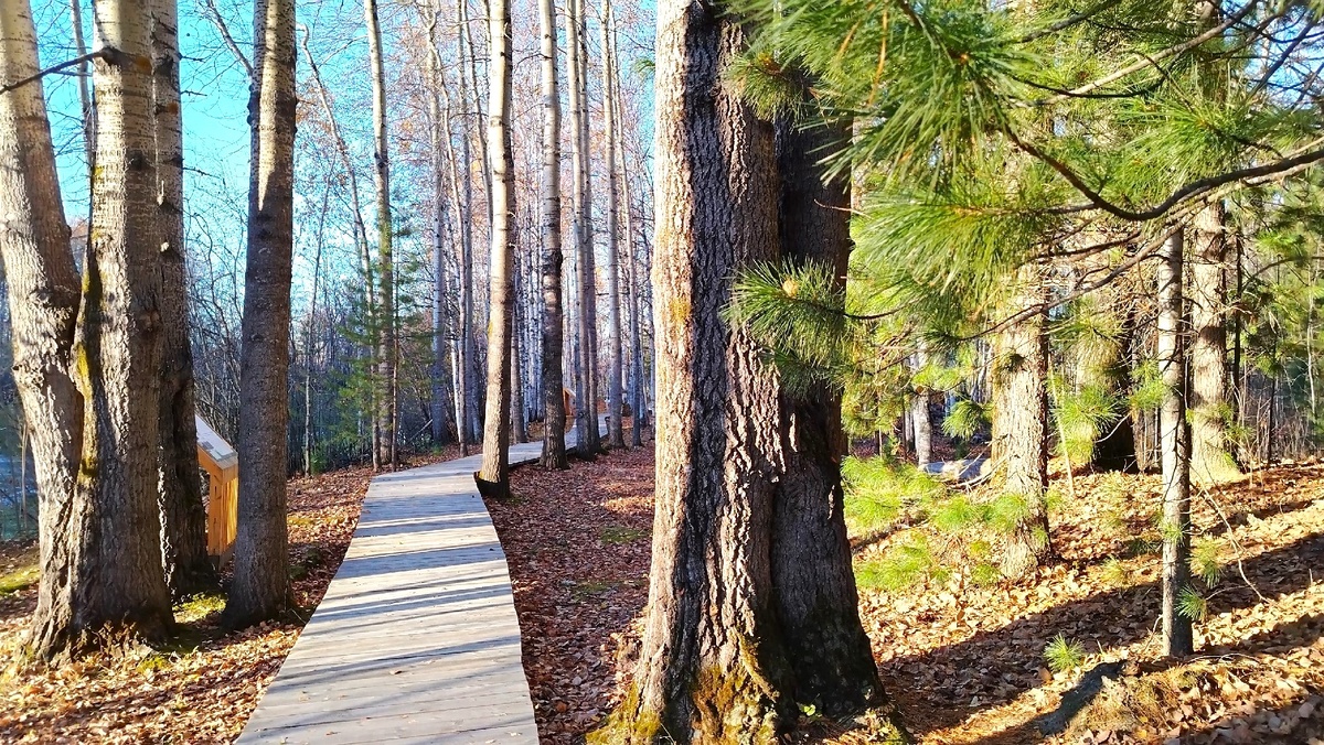    В Ханты-Мансийске появилась новая «экотропа»
