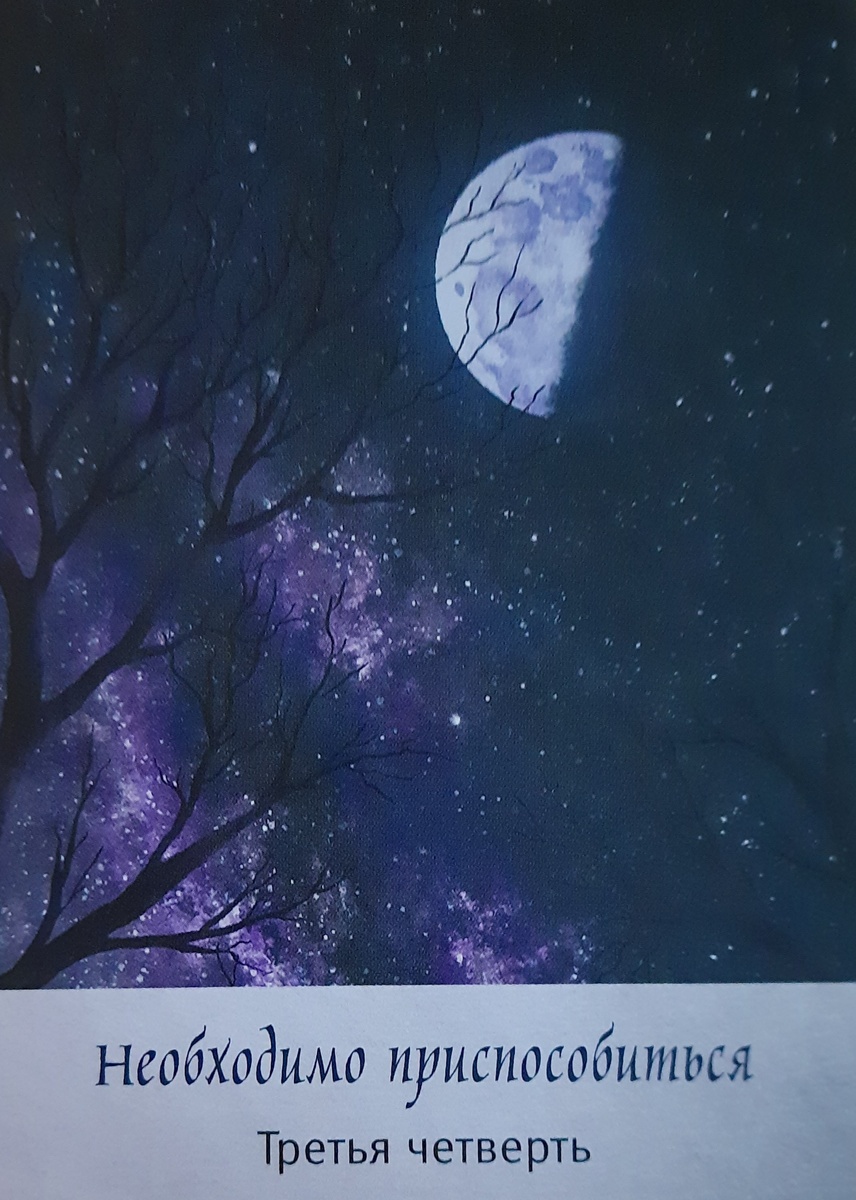 фото ЕлВита