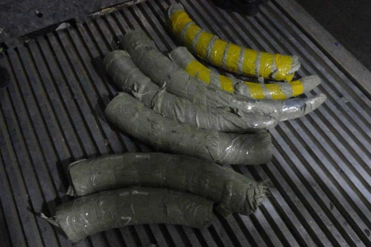    Фото: Прокуратура Амурской области, источник: t.me/prokuratura28