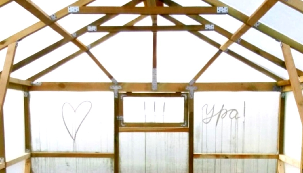 Фото автора. Как же я радовалась, когда мы построили теплицу своими руками!