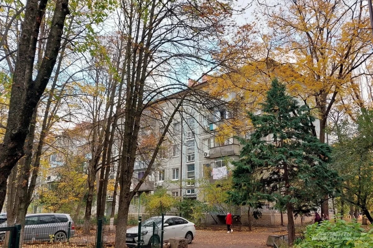    На Кубани спрогнозировали понижение температуры и дожди