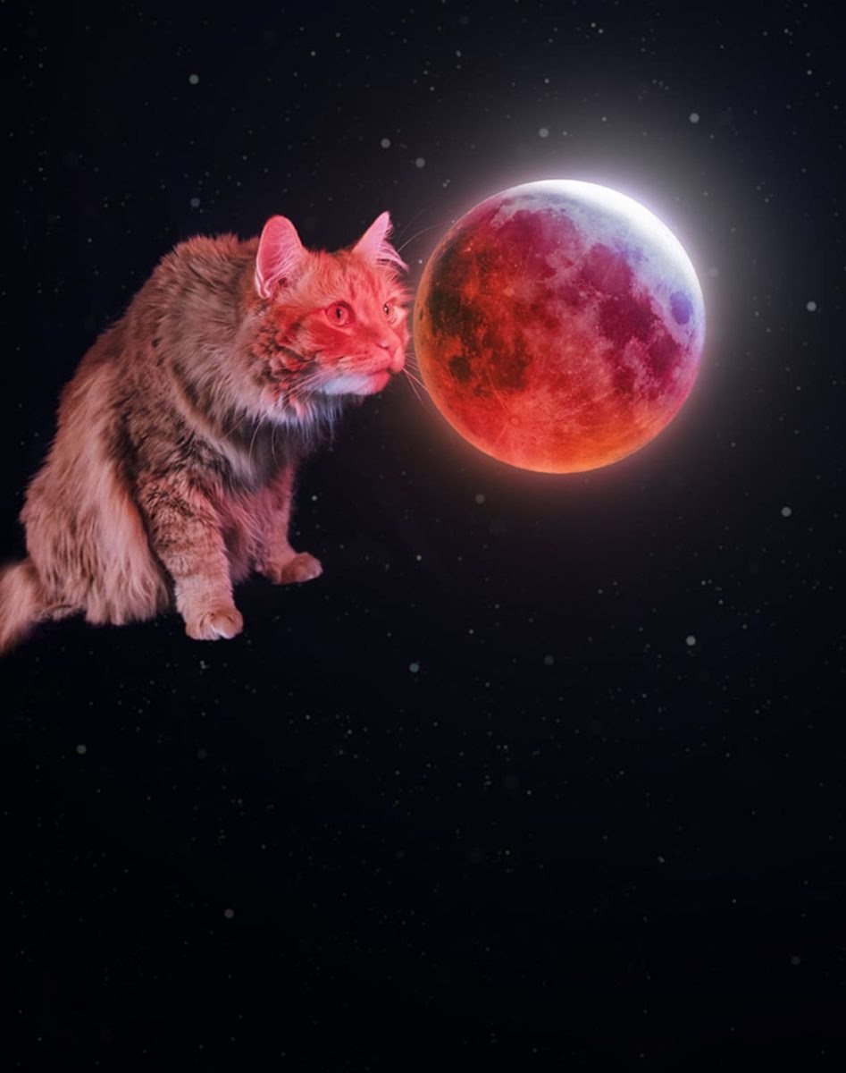    Грегори и Луна / © Andrew McCarthy