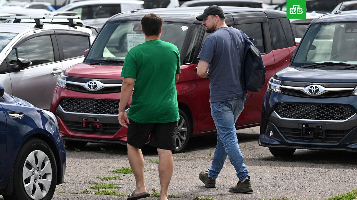    Фото: РИА Новости © 2025, Илья Наймушин