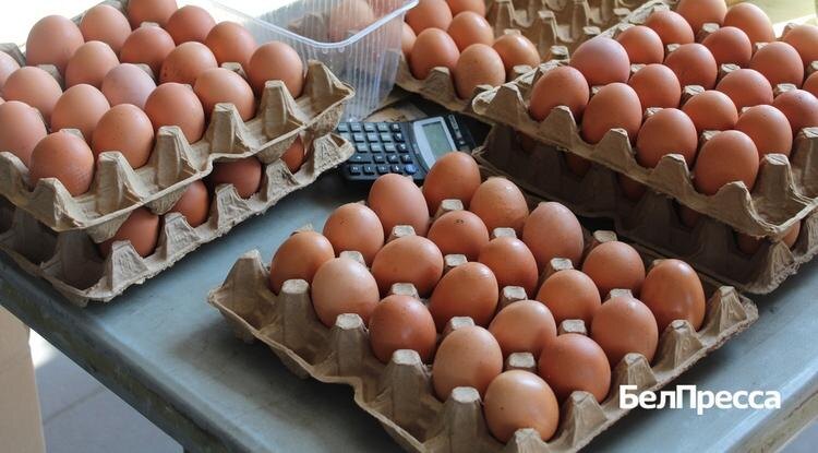 Фото: Анна Емельянова (архив)