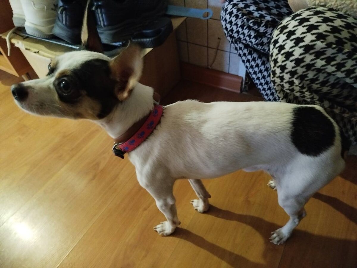 Маленький худенький, испуганный малыш 