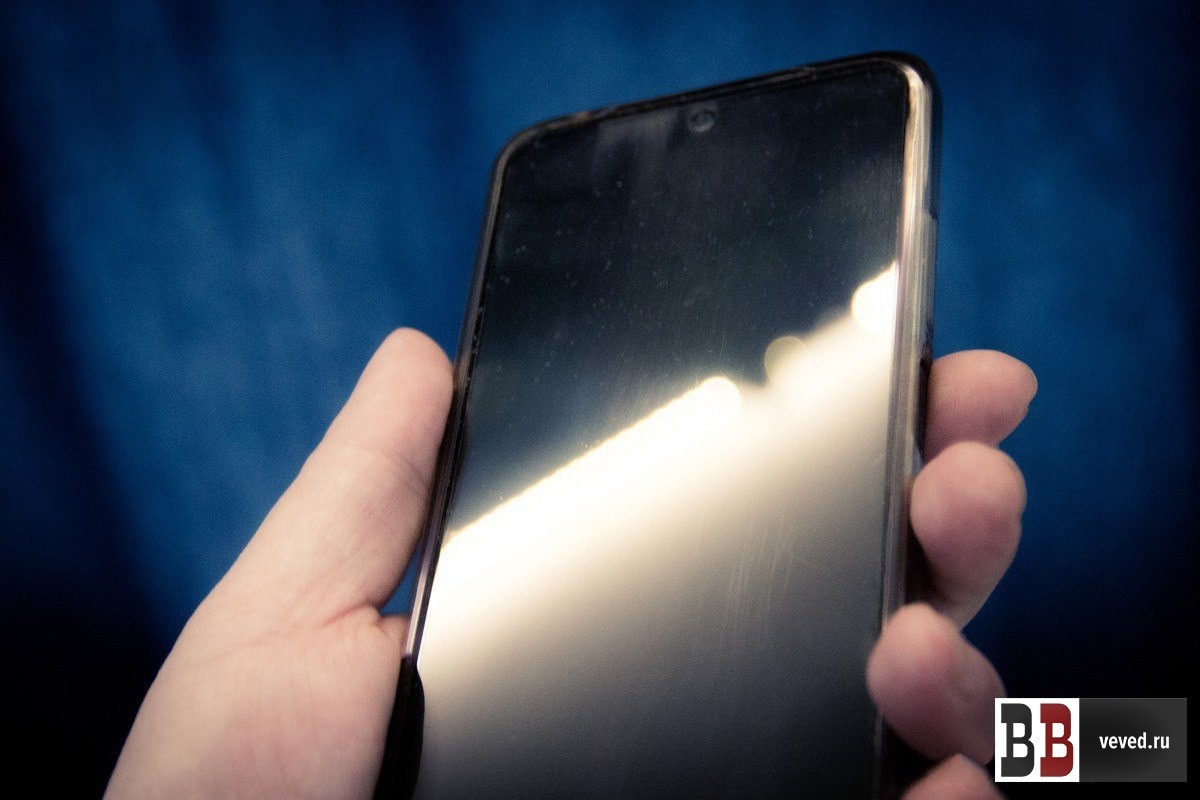     Фото: Андрей Гоголев / Вечерние ведомости