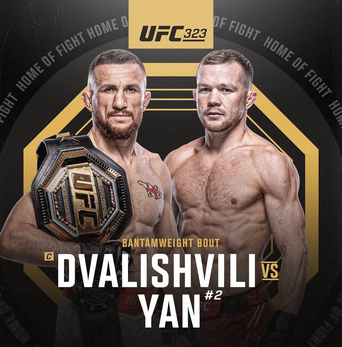 Двалишвили-Ян