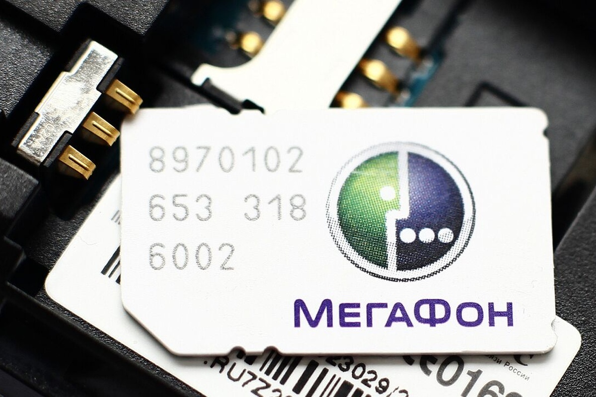    Фото: Виталий Белоусов, источник: ria.ru