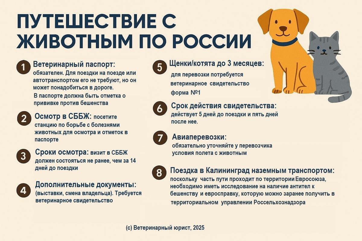 Картинка сгенерирована ИИ
