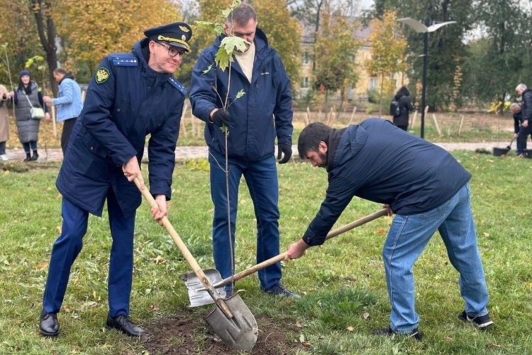    Фото сайта правительства РО Редактор