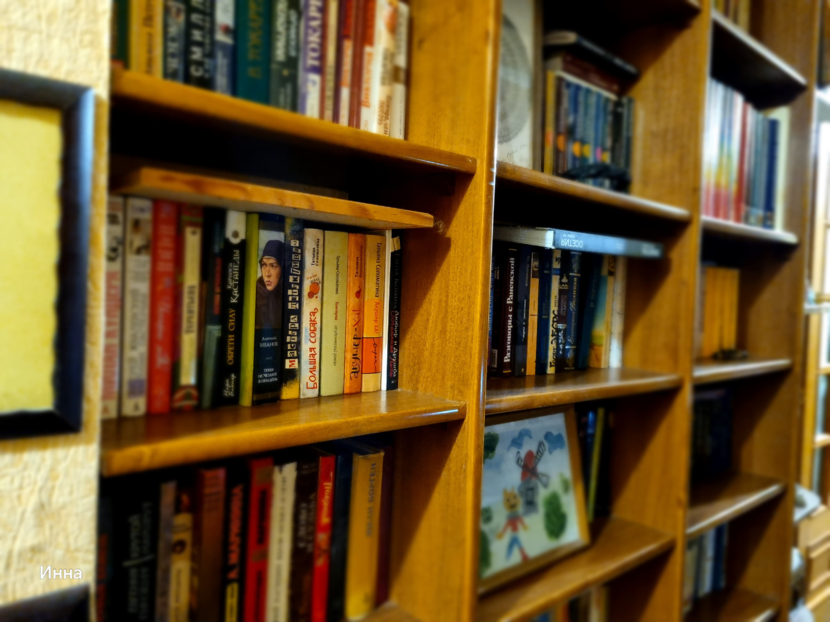 Моя домашняя библиотека- правый стеллаж