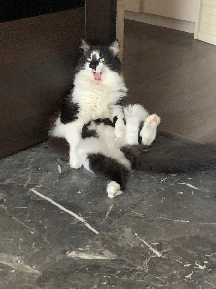 Фото из личных архивов