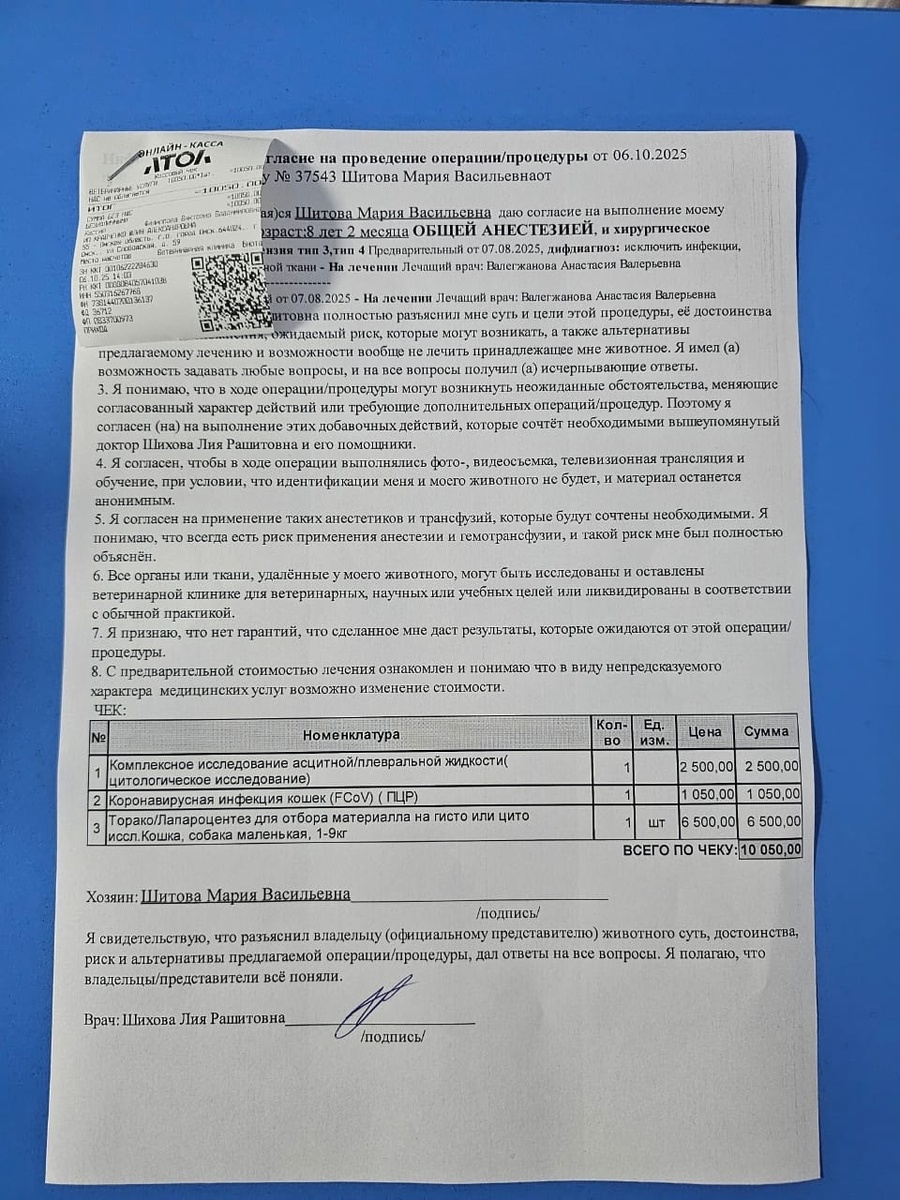 Чеки последних дней за других животны приюта "Омские хвостики"