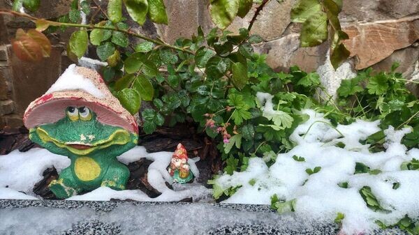    © РИА Новости Крым