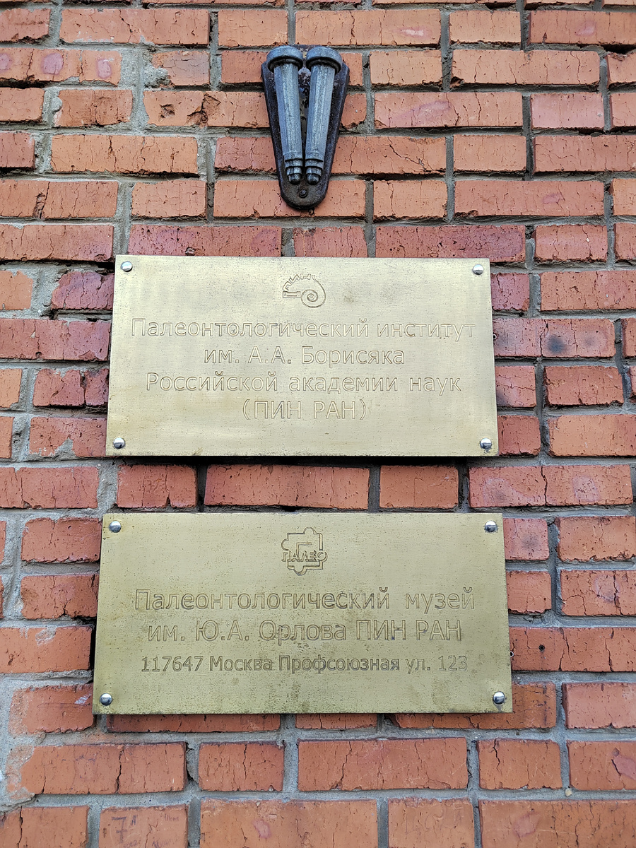 Фото КруглоСветно КруглоГодично, февраль 2025