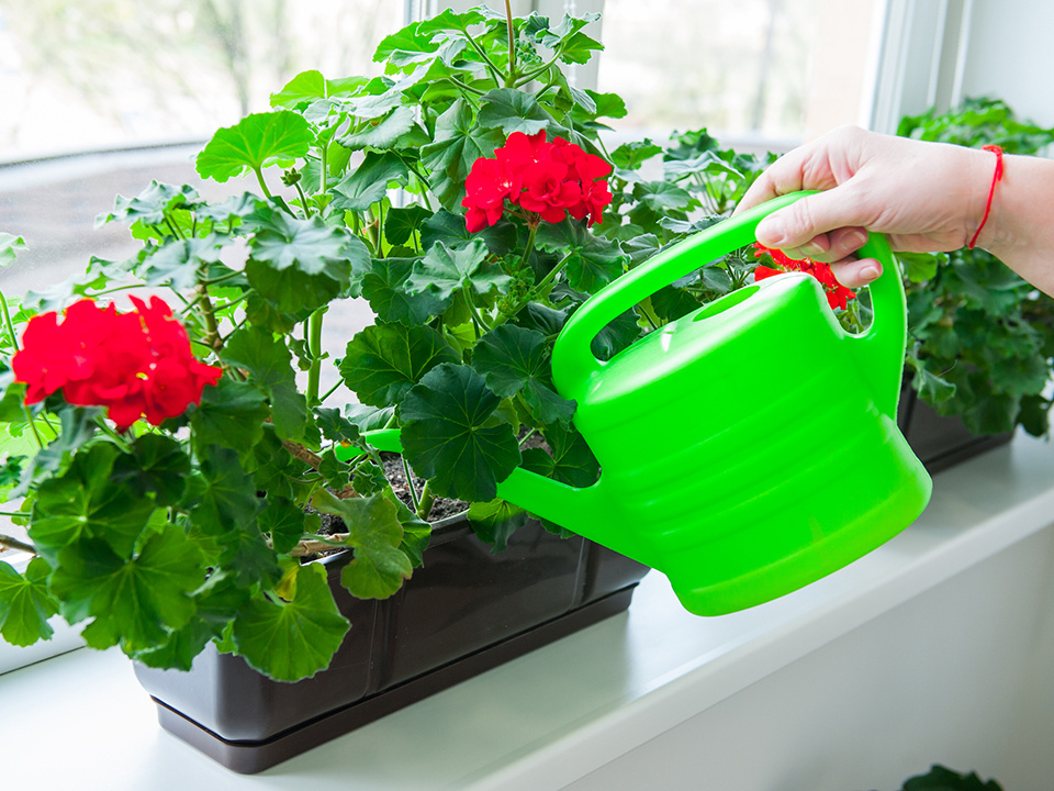    Фото: istockphoto.com/OKrasyuk