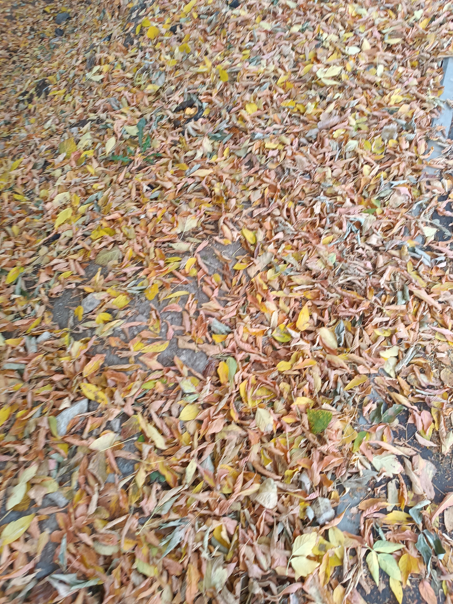 Фото автора. 