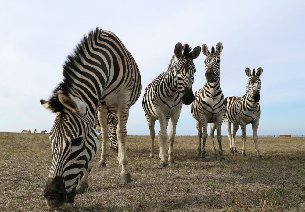    Фото: Сергей Аверин / РИА Новости