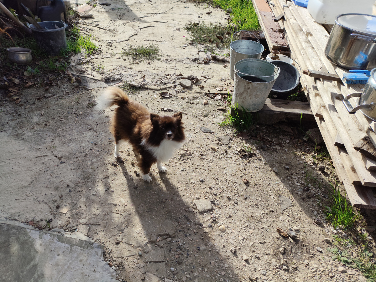 Домой пойдешь? - Сама иди!