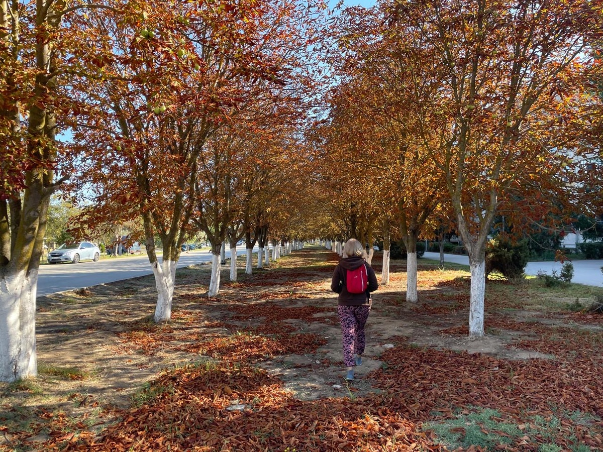 Осень в Щёлкине (Крым)