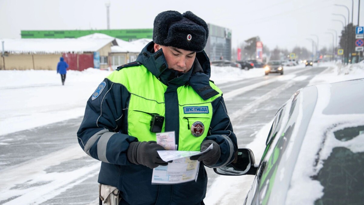    Фото: Юрий Здебский/«Ямал-Медиа»