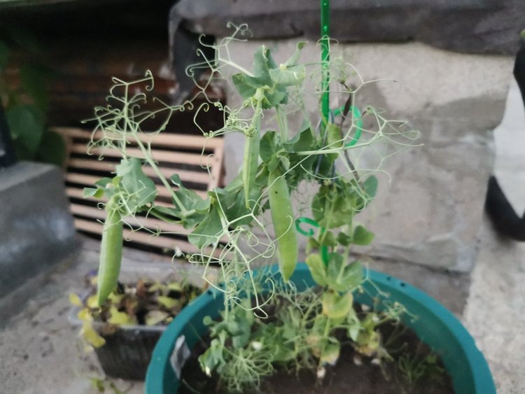    Фото: Лукьянов Дмитрий, AgroXXI.ru