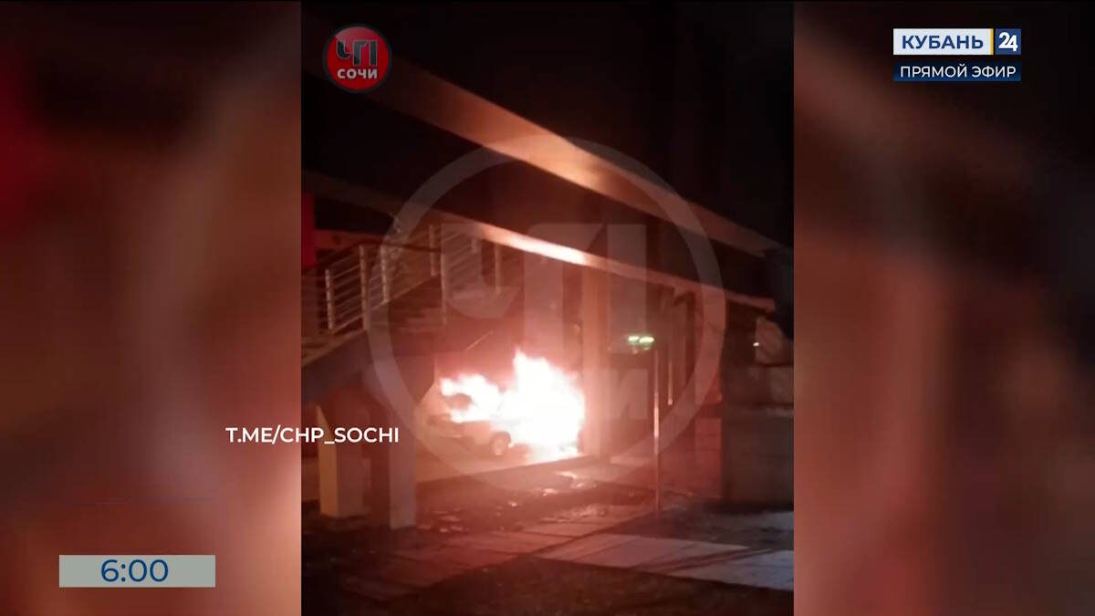    Видео канала «Кубань 24»