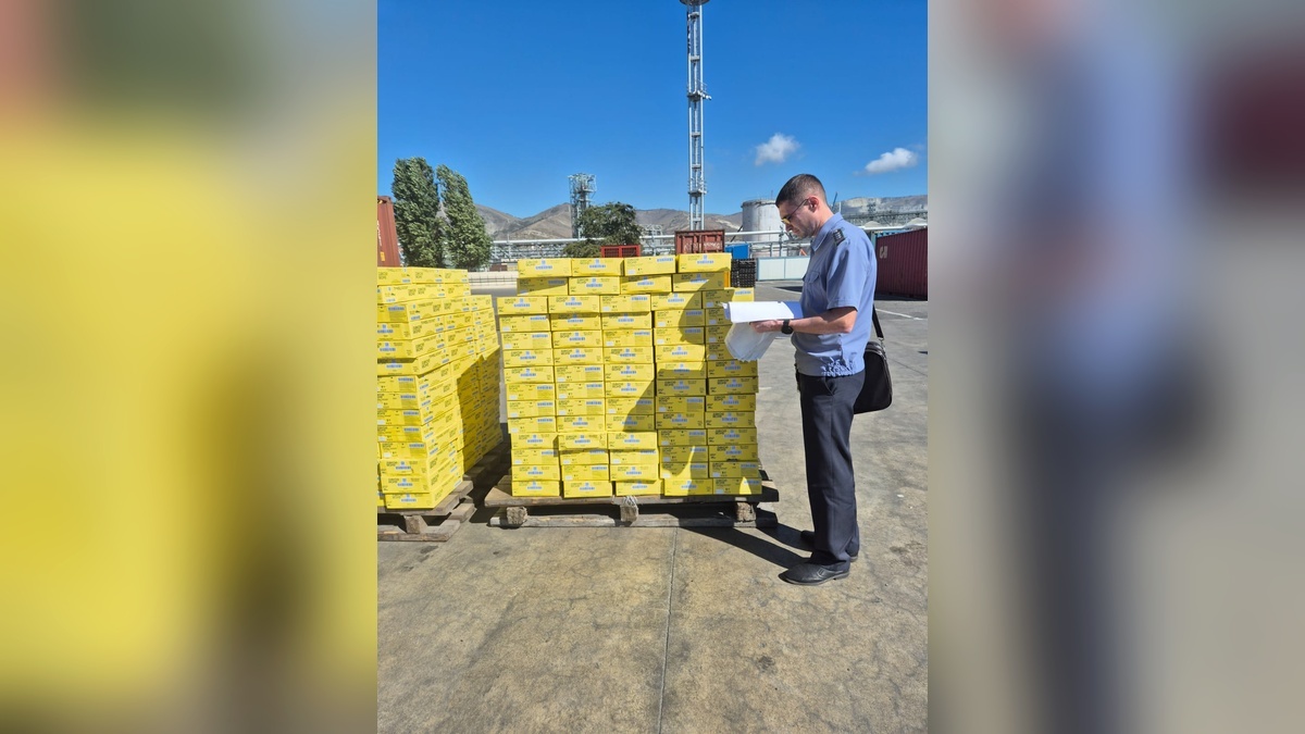    Фото t.me/rsn_yug