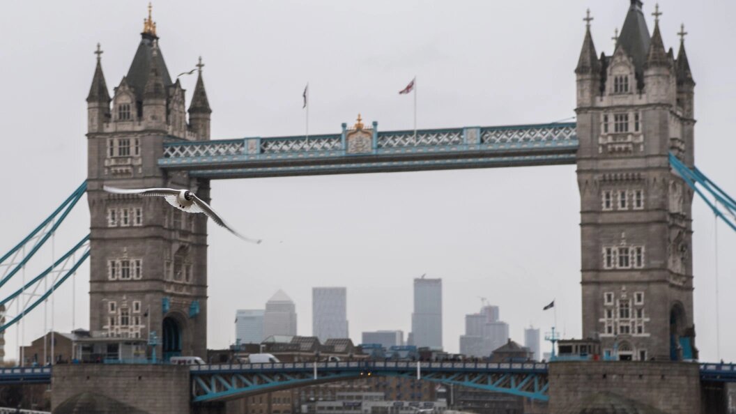    Фото: Robert Michael/Globallookpress