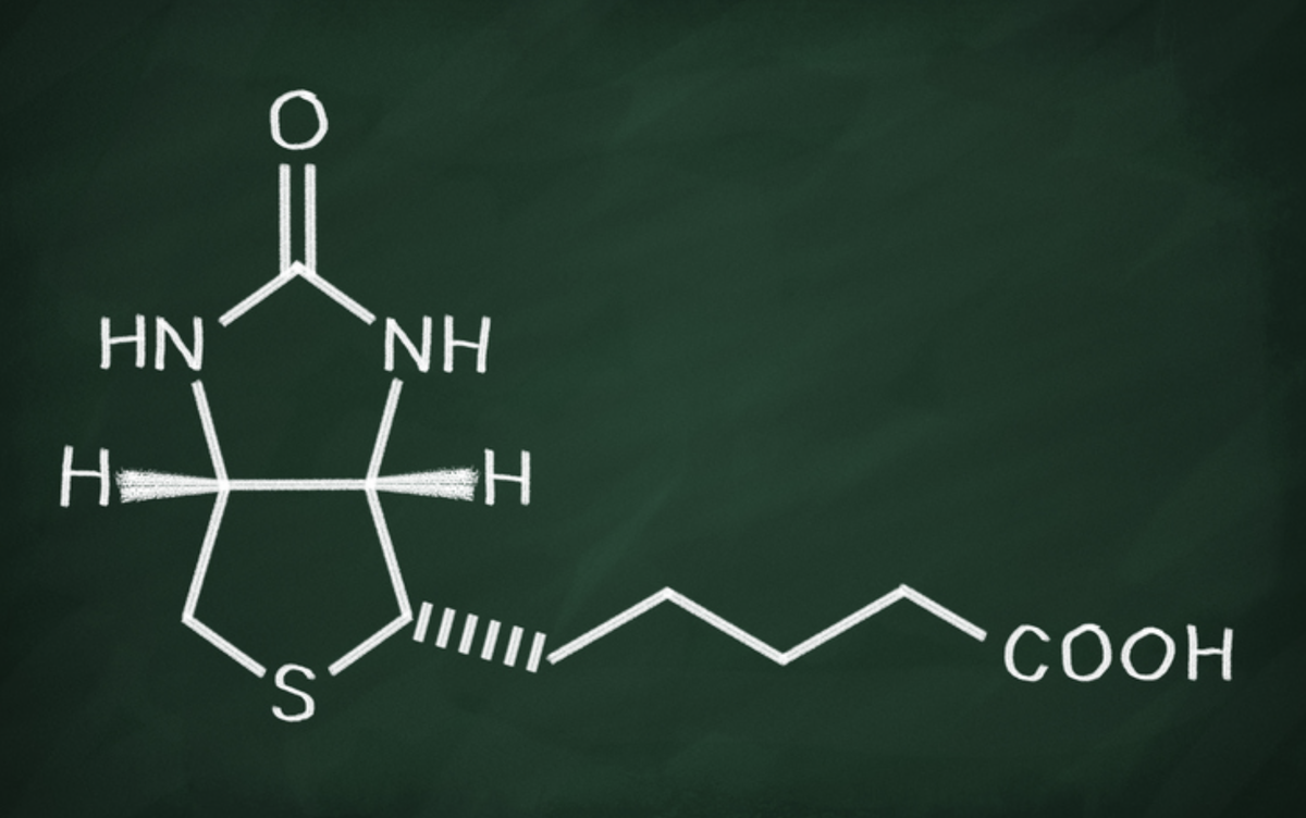 Изображение формулы биотина. Авторские права на картинку: makaule