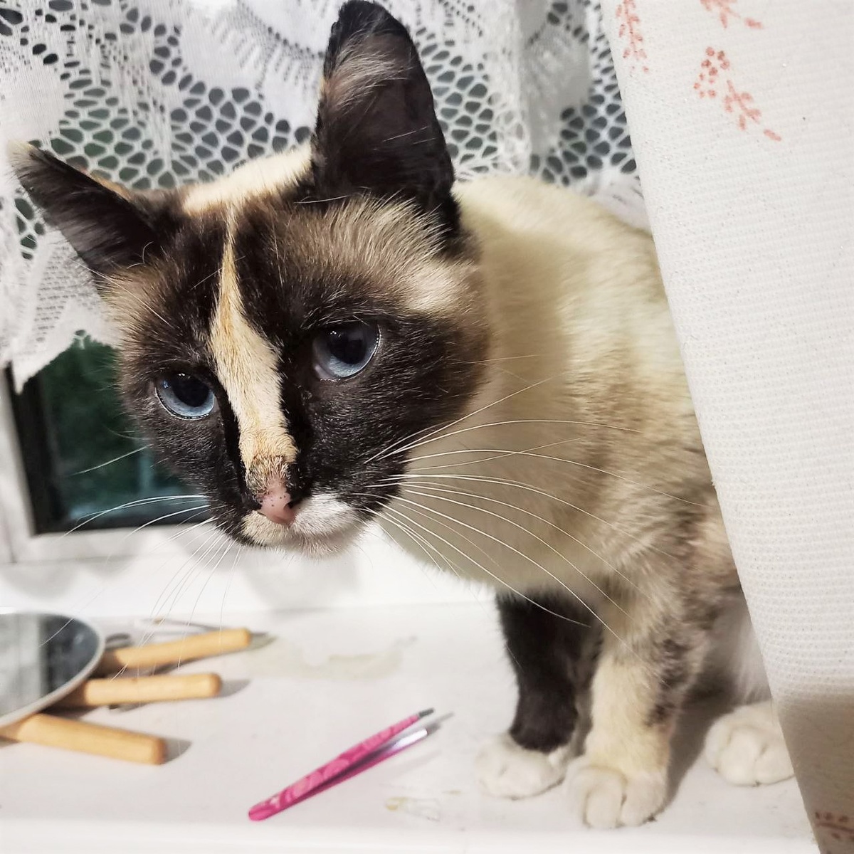 Фото автора)