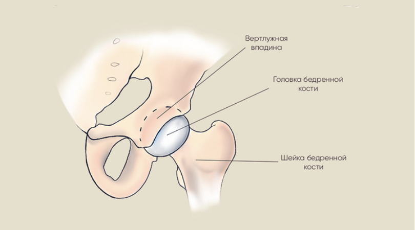 Болит тазобедренный сустав | Декомпрессия за 2 минуты: упражнение, которое не покажут в поликлинике