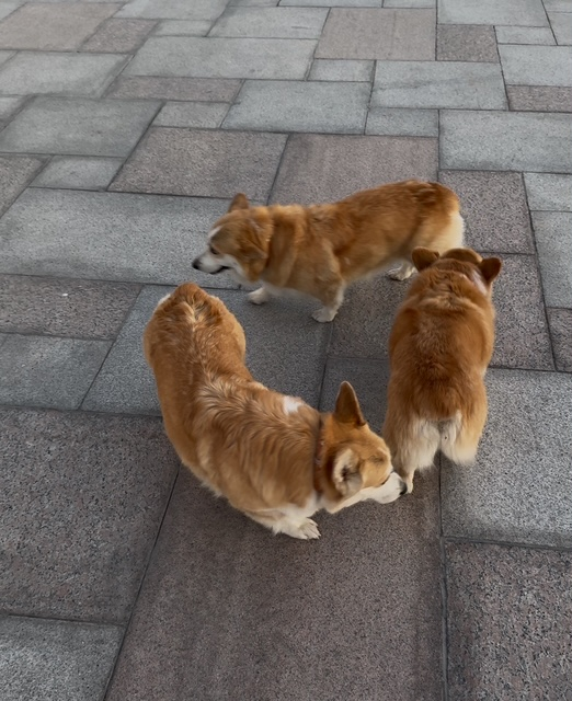 фото мое но кто из них мой ....