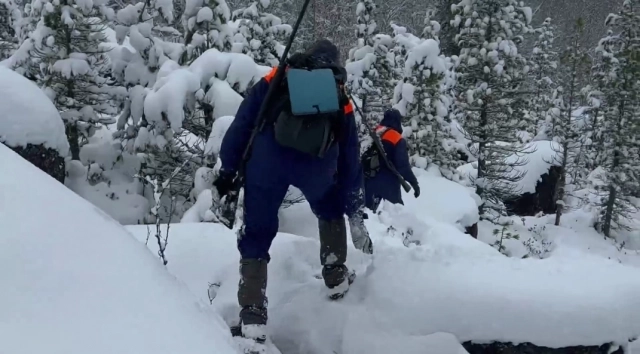 Фото: «ЛизаАлерт»