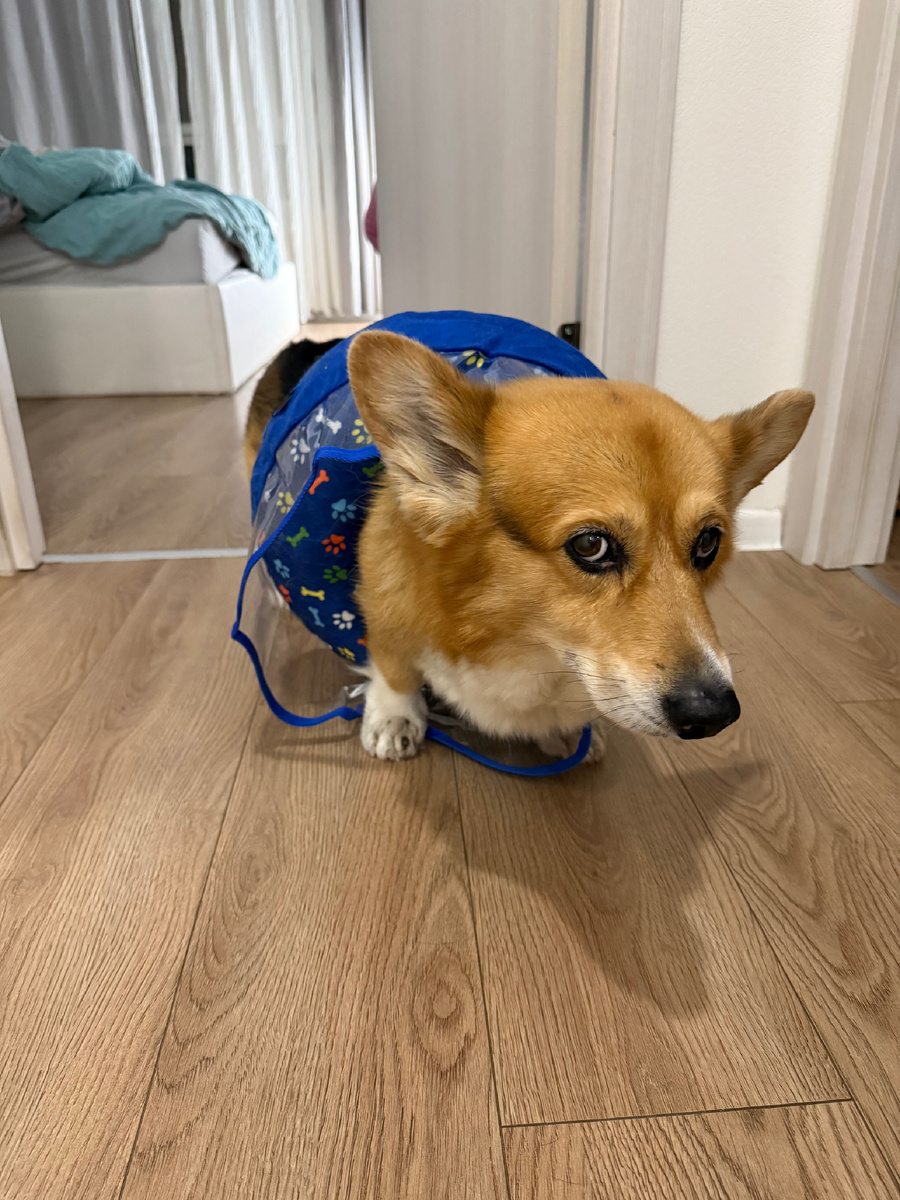 Воротник сполз😂😂😂