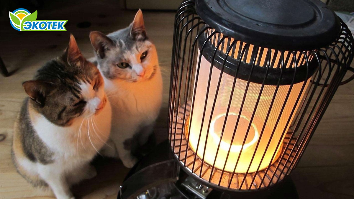 В доме животные: выбираем самый безопасный обогреватель. Экотек