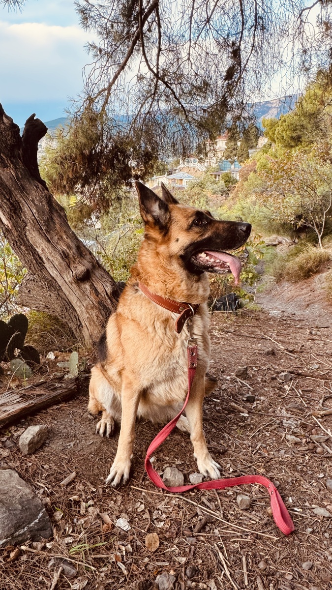 На страже Поликуровской тропы