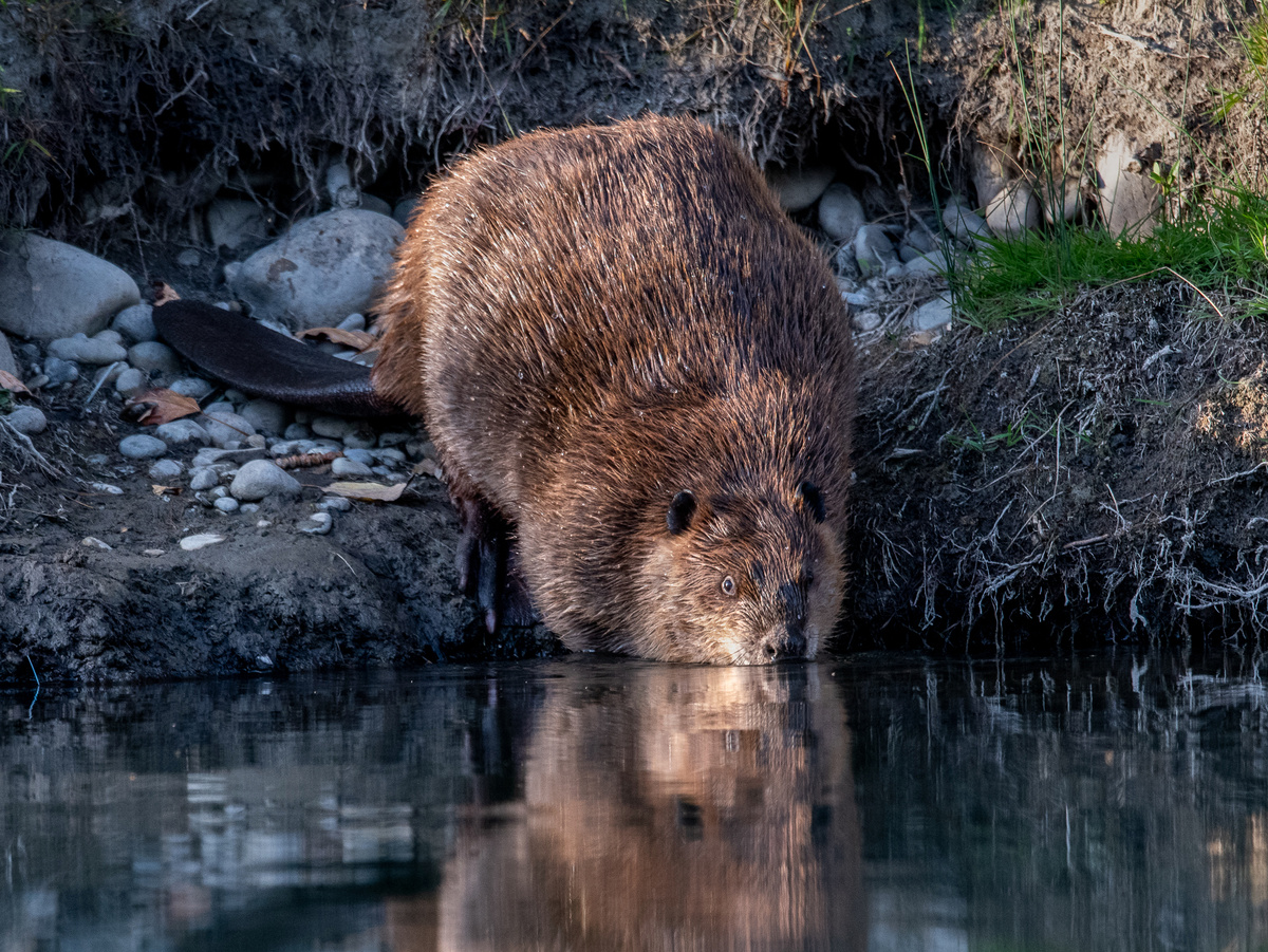 Фотография: airboy123, CC BY-NC-SA 2.0