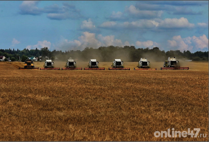 фото: Валентин Илюшин/Online47