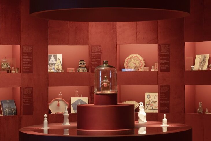 Предоставлено пресс-службой центра «Зотов». Фото: Варвара Топленникова