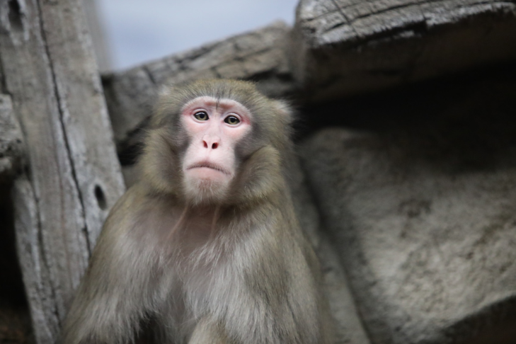    Фото: Алина Кухмарь