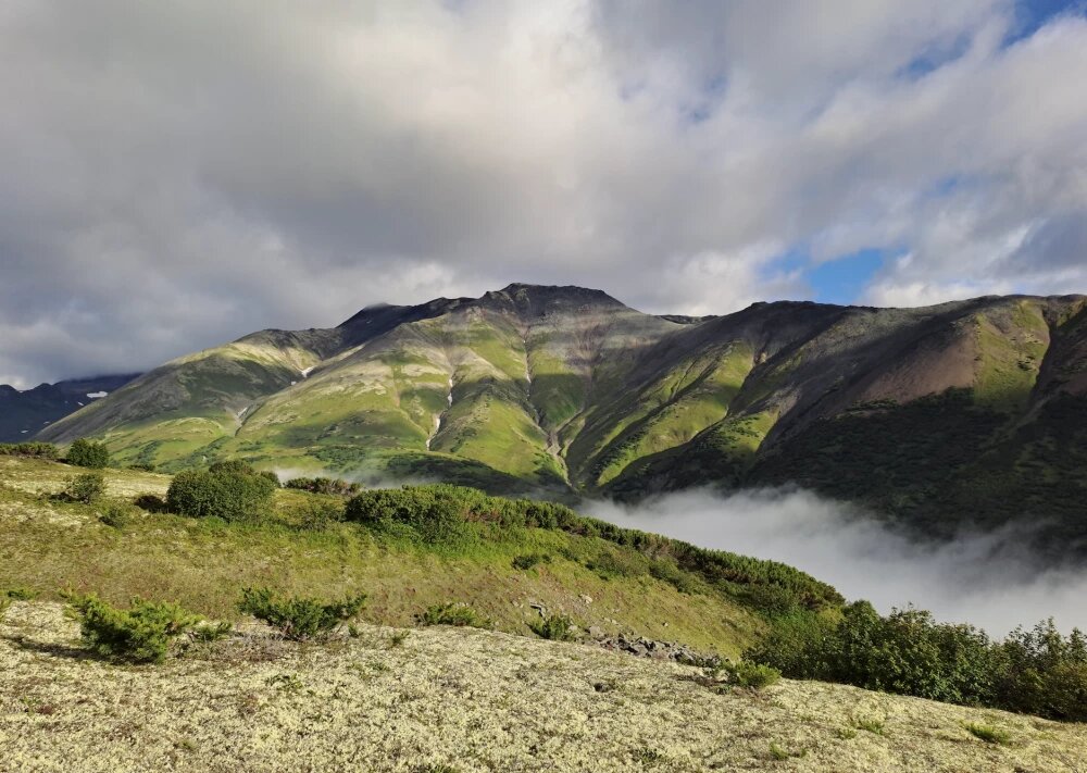 Фото из личного архива