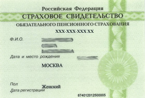   Образец СНИЛС старого образца. Фото