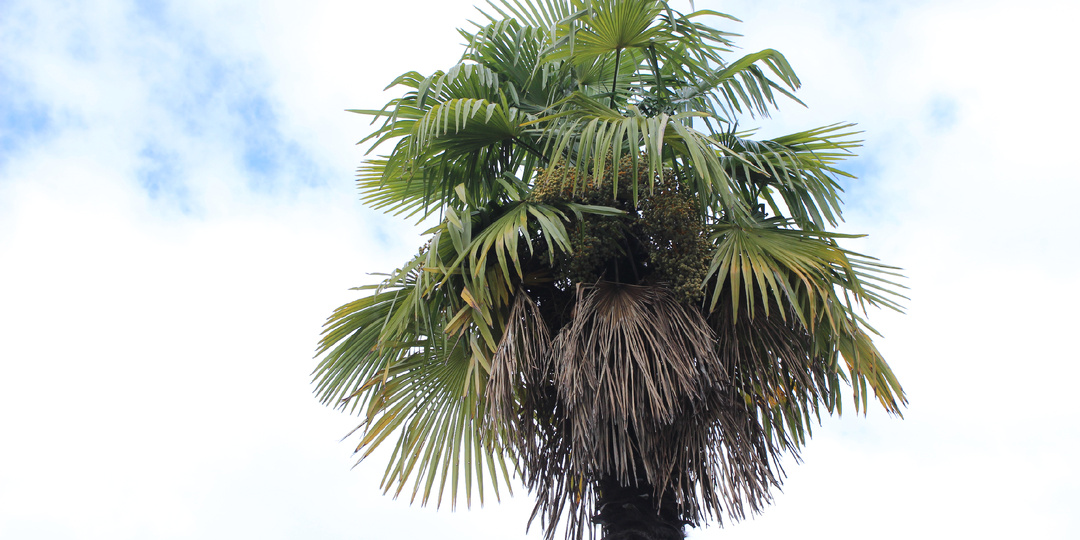 На море без моря! Осенний Сочи