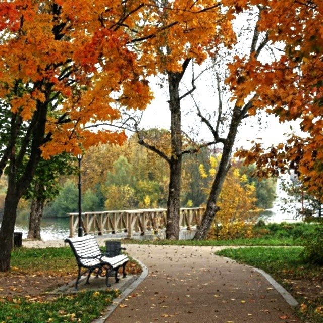 Фото Маргариты Толмачевой