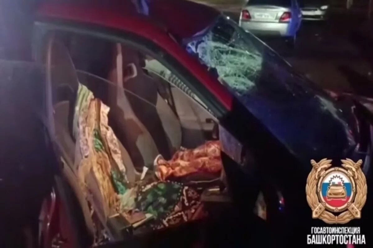    В Уфимском районе водитель сбил пешехода насмерть и скрылся с места ДТП