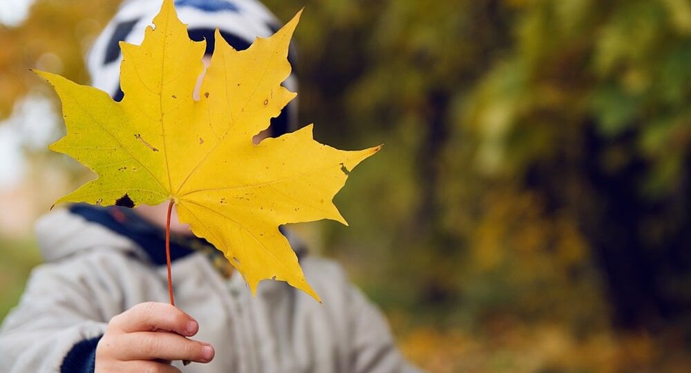 Осенняя утомляемость и снижение мотивации у детей: взгляд нейропсихолога