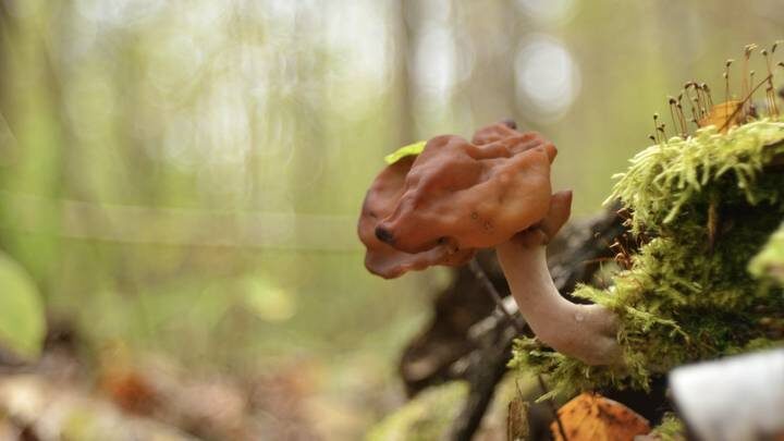  Фото: Shutterstock