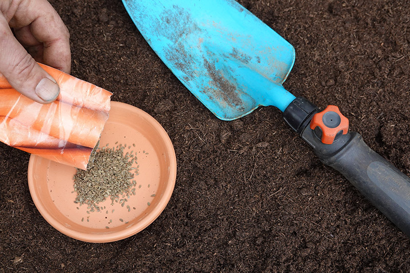    Shutterstock/FOTODOM