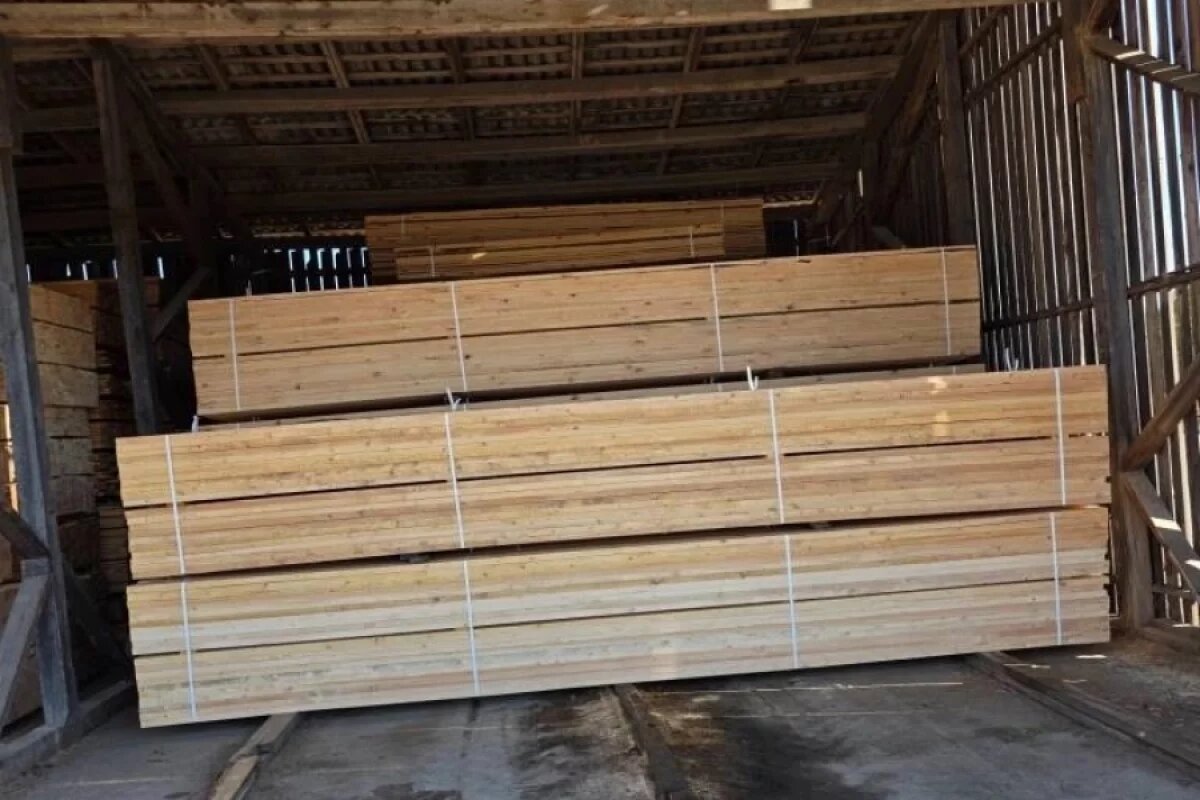    48 тысяч кубометров псковских лесоматериалов отправили в 23 страны мира